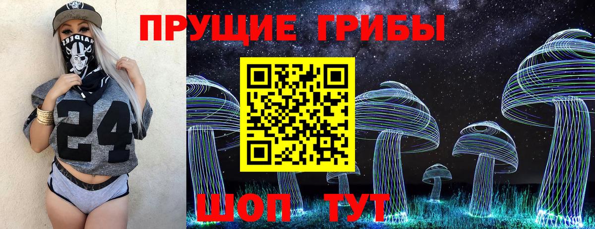 Псилоцибиновые грибы прущие грибы Лабинск